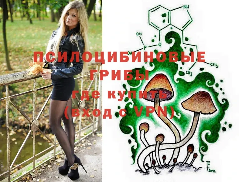 Псилоцибиновые грибы Magic Shrooms  Новочебоксарск 